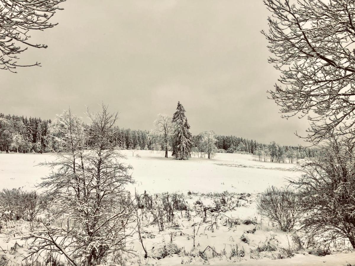 App 622 Panoramic Hohegeiss Mit Wlan Terrassenhaus Appartement Braunlage Buitenkant foto