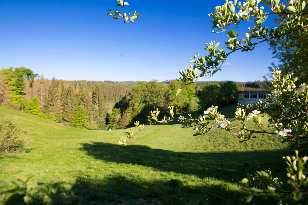 App 622 Panoramic Hohegeiss Mit Wlan Terrassenhaus Appartement Braunlage Buitenkant foto